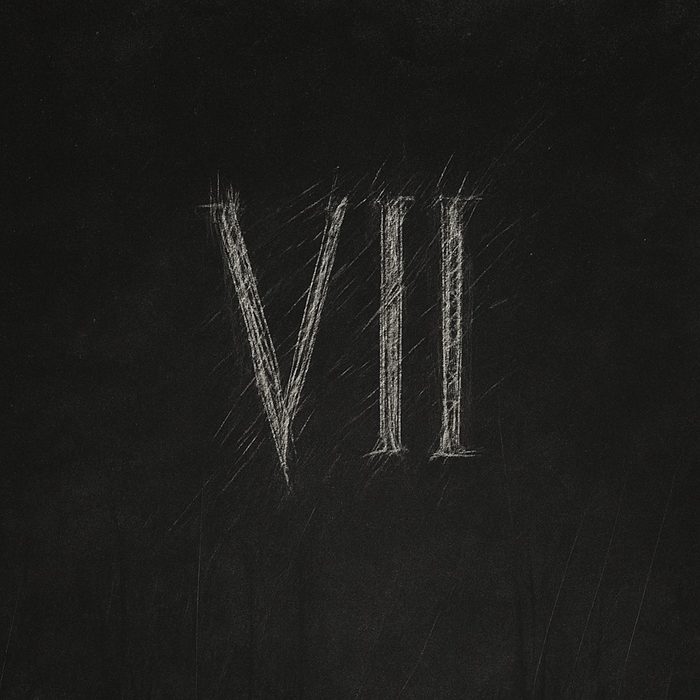 VII album cover art